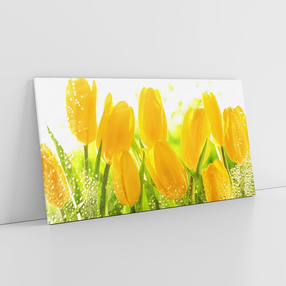 Obraz na płótnie 120x60 - Tulipany - szczyt kwiatowego piękna - tulipany, kwiaty