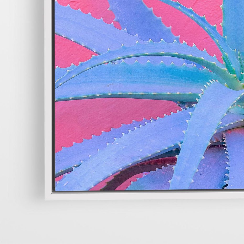 Obraz w ramie 50x50 - Piękno Pustyni - kaktusy, liście - rama biała