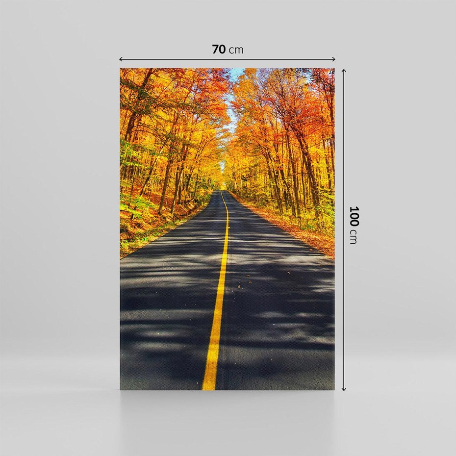 Obraz na płótnie 70x100 - Droga przez jesienny las - droga, las