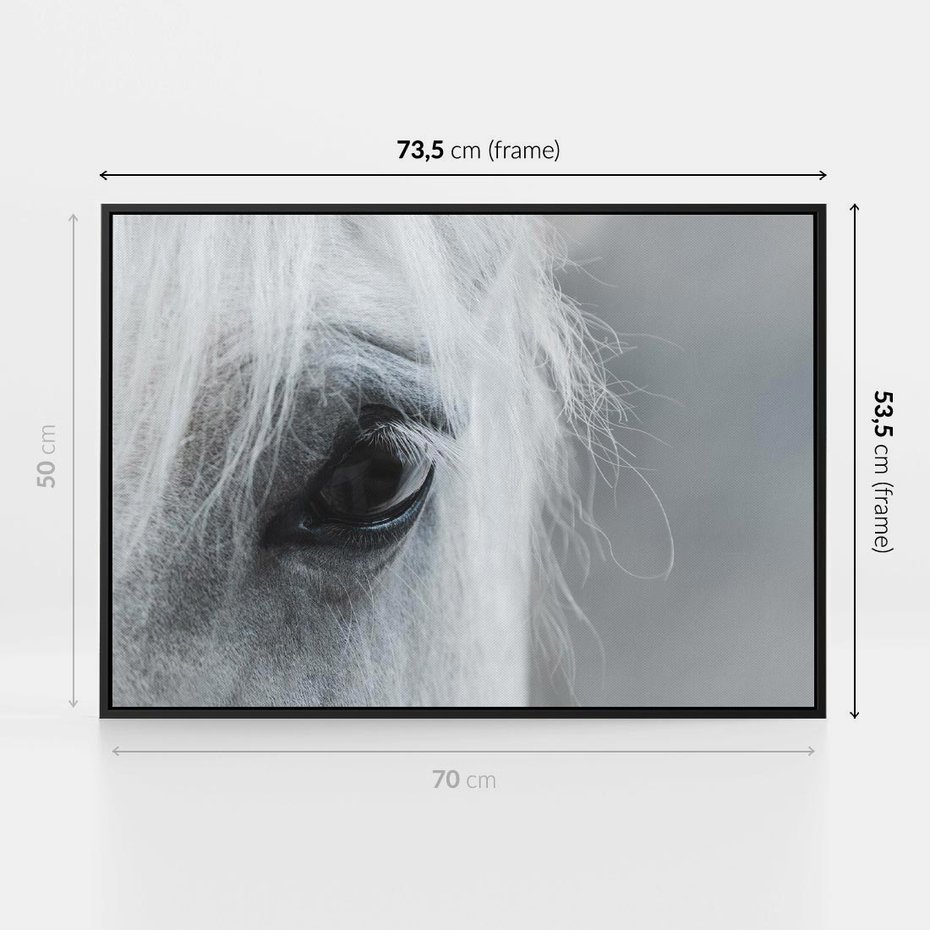 Obraz w ramie 70x50 - Oko Mocy - czarno białe zdjęcie, zbliżenie makro na oko konia - rama czarna