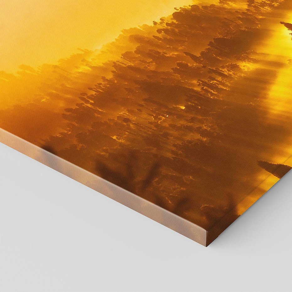 Obraz na płótnie 140x70 - Krajobraz leśny - las, drzewa