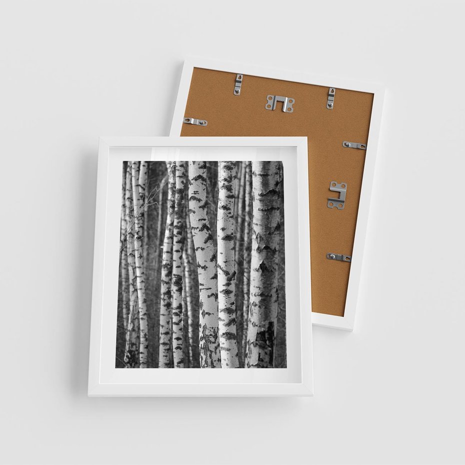 Plakat w ramie 40x50 - Kontrast Monochromatyczny - brzozy, czarno - rama biała