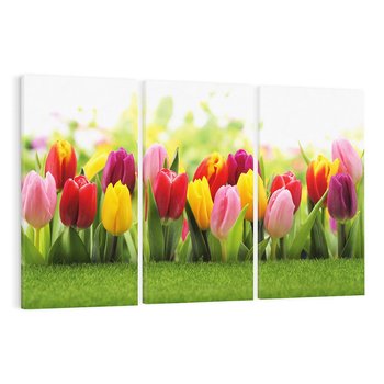 Obraz na płótnie 120x80 - delikatność kwiatowego świata - tulipany, kwiaty