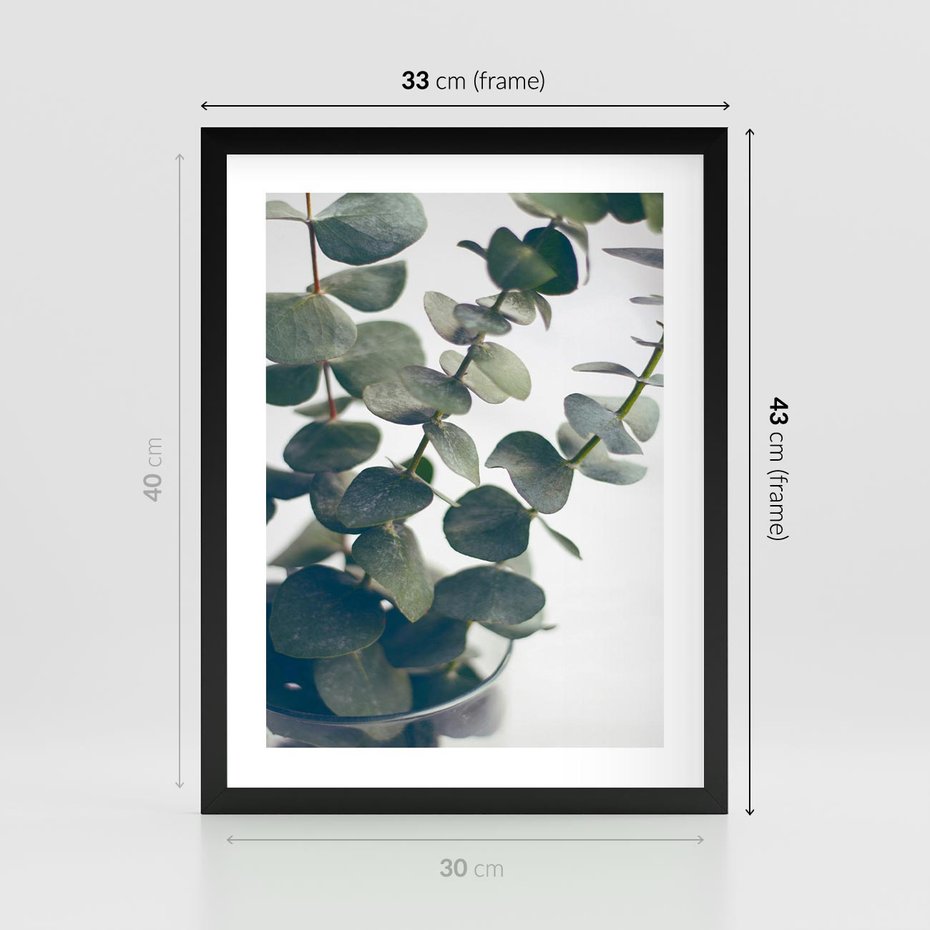 Plakat w ramie 30x40 - ukaliptusowa Harmonia - liście eukaliptusa - rama czarna