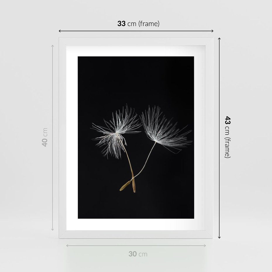 Plakat w ramie 30x40 - Delikatność Wiatru - dmuchawce, makro - rama biała