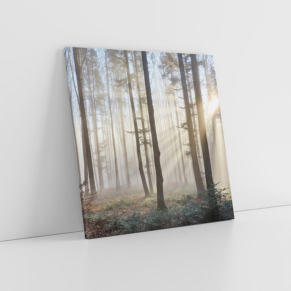 Obraz na płótnie 40x40 - Magiczne zaklęcie: Las pełen drzew - las, drzewa