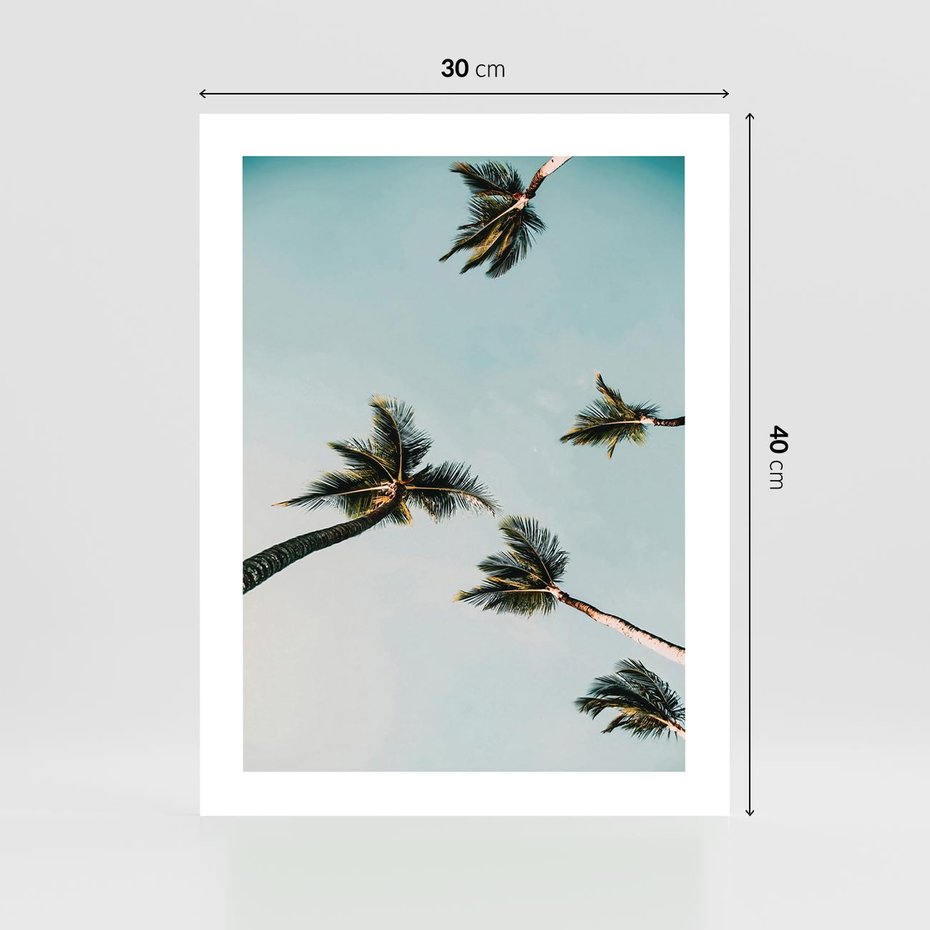 Plakat bez ramy 30x40 - Palmy i Niebo - palmy, ujęcie z dołu