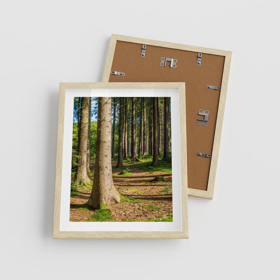 Plakat w ramie 40x50 - Las: harmonia natury - las, drzewa - rama drewno