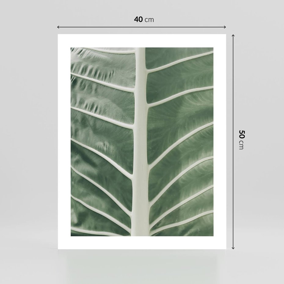 Plakat bez ramy 40x50 - Zielone Wielkości: Zbliżenie Liścia - zbliżenie duz liść, jasna zieleń