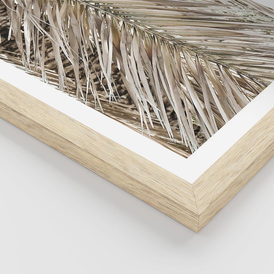 Plakat w ramie 40x50 - Boho Urok Palmy: Zbliżenie Natury - sucha palma, zbliżenie - rama drewno