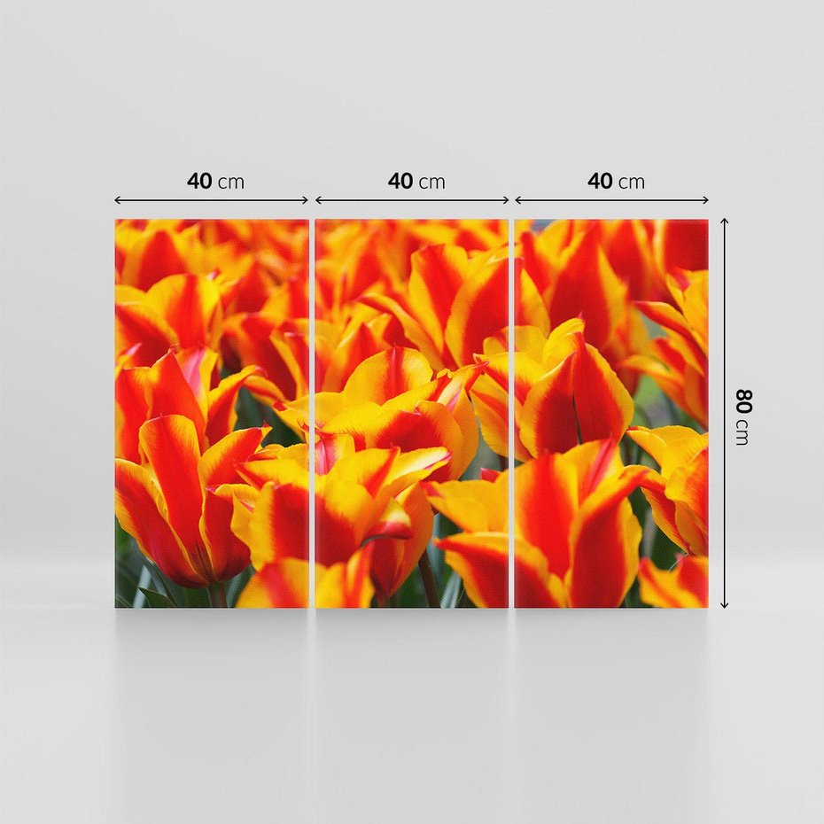 Obraz na płótnie 120x80 - Kwiatowa natura - kwiat, kwiaty