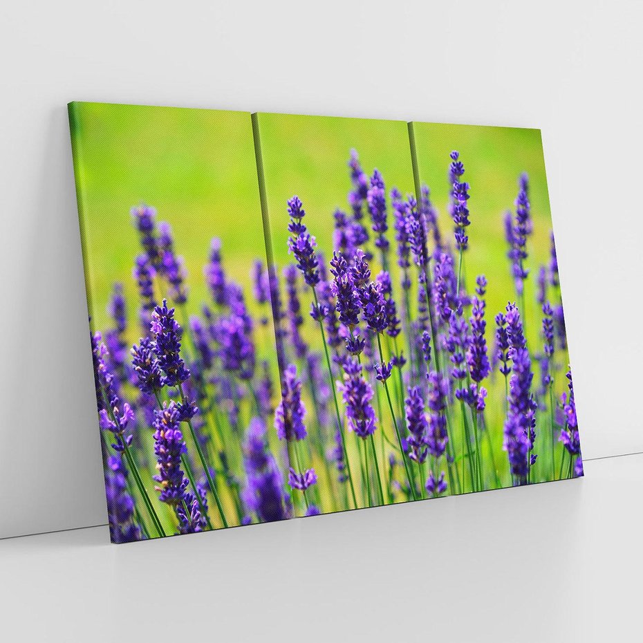 Obraz na płótnie 120x80 - Lawenda w naturze - lawenda, kwiaty