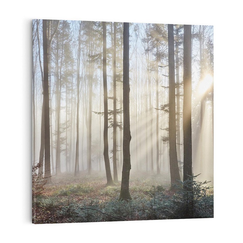 Obraz na płótnie 70x70 - Magiczne zaklęcie: Las pełen drzew - las, drzewa