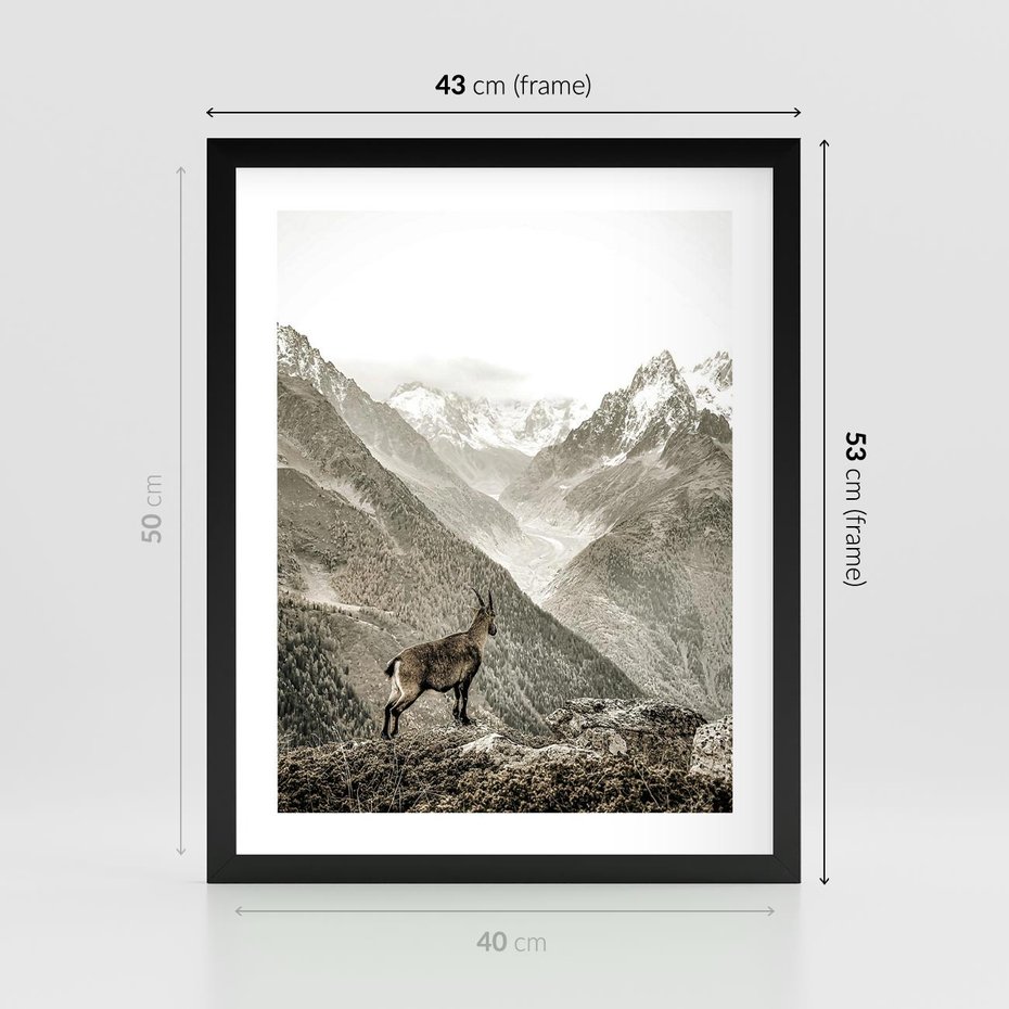 Plakat w ramie 40x50 - Dzikie Piękno: Kozica w Malowniczym Górskim Scenerii - kozica, góry - rama czarna