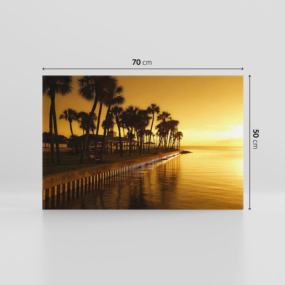 Obraz na płótnie 70x50 - Tropikalny Zachwyt - tropikalny widok, palmy