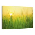 Obraz na płótnie 70x50 - Zboże w kłosach: Oda do plonów natury - zboże, kłos