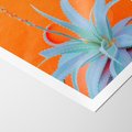 Plakat bez ramy 21x30 - Naturalna Harmonia - kaktusy, liście