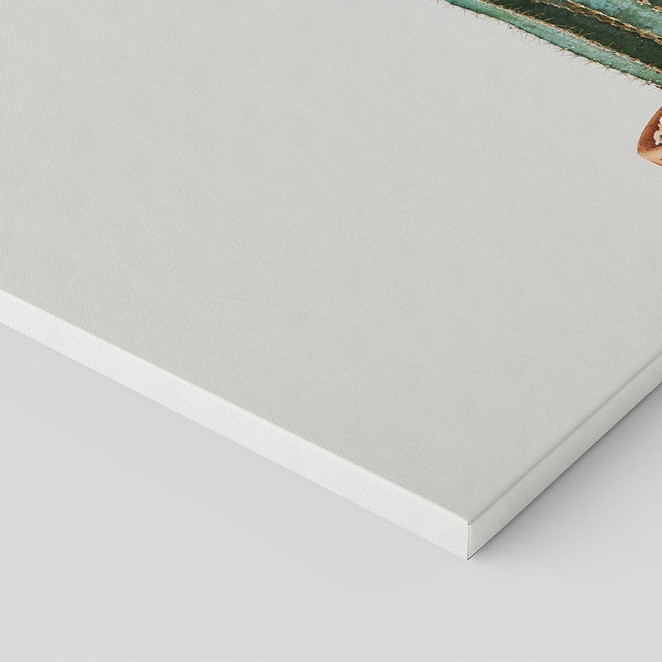 Obraz na płótnie 70x100 - Zieleń i Subtelność - kaktusy, liście