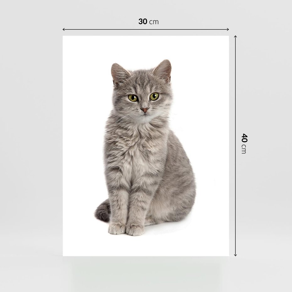 Plakat bez ramy 30x40 - Kocie uroki na płótnie - kot, kotek