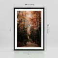 Plakat w ramie 50x70 - Drzewa w Czerwonych Liściach - las, jesienny las - rama czarna