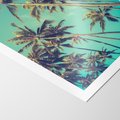 Plakat bez ramy 21x30 - Tropikalne palmy w krainie słonecznych wakacji - palmy, tropiki