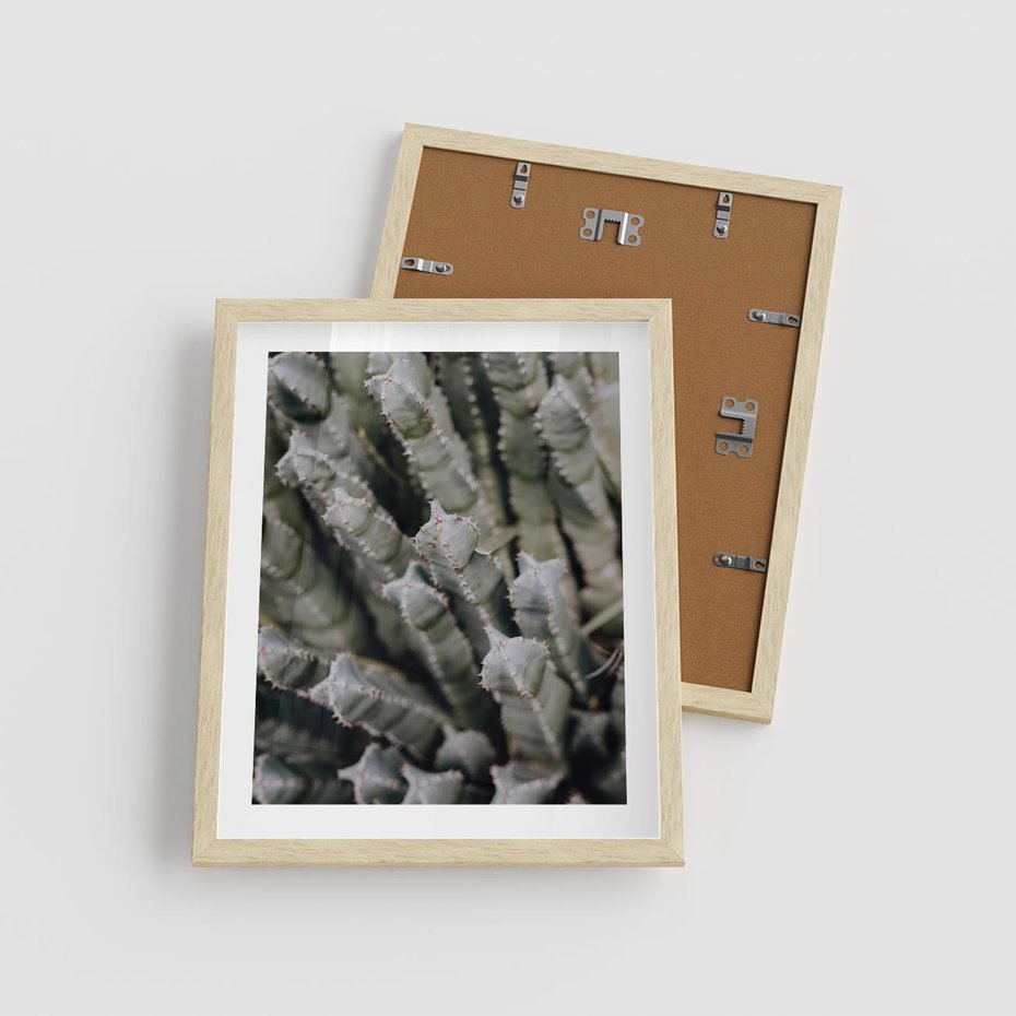 Plakat w ramie 40x50 - Boho kaktusy na pustyni - kaktusy, pustynia - rama drewno