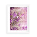 Plakat w ramie 40x50 - Majestat lawendy: fioletowe pola - lawenda, fiolet - rama biała