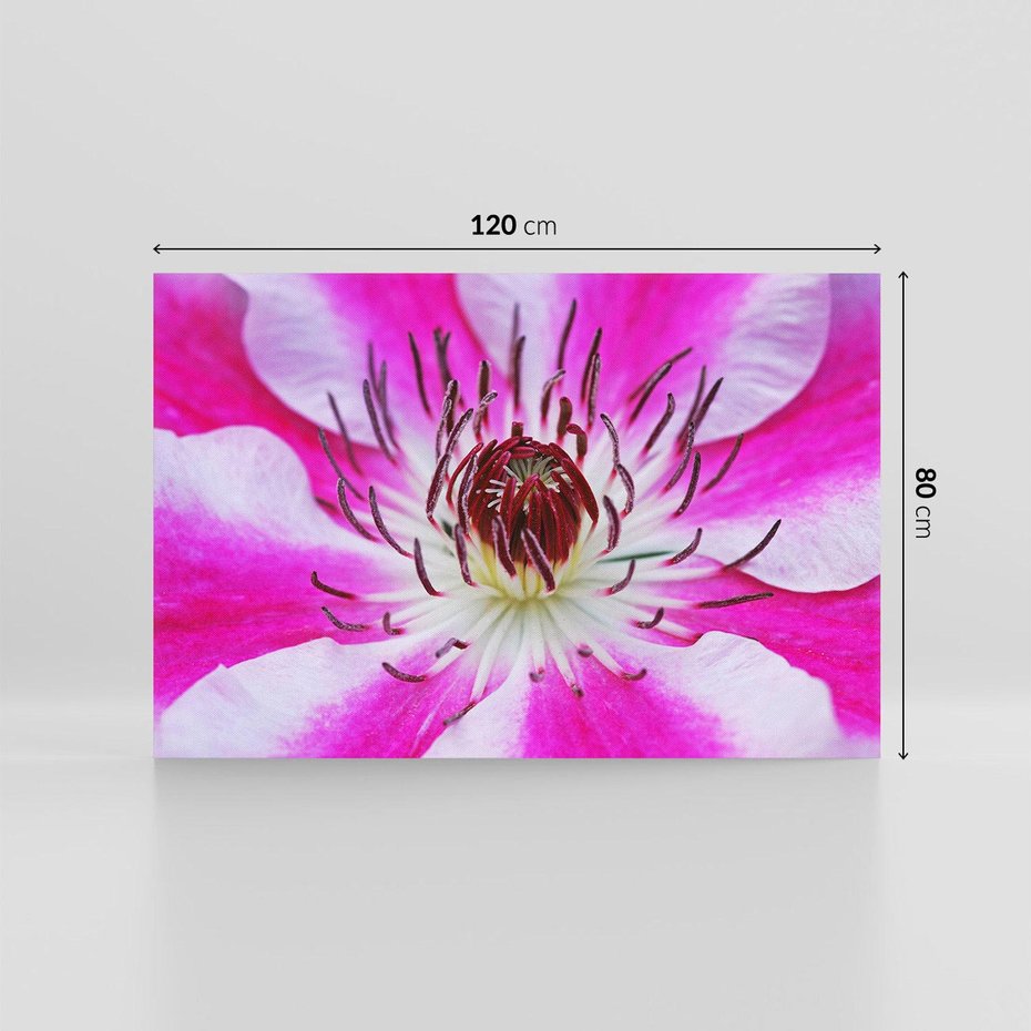 Obraz na płótnie 120x80 - delikatność natur - kwiat, kwiaty