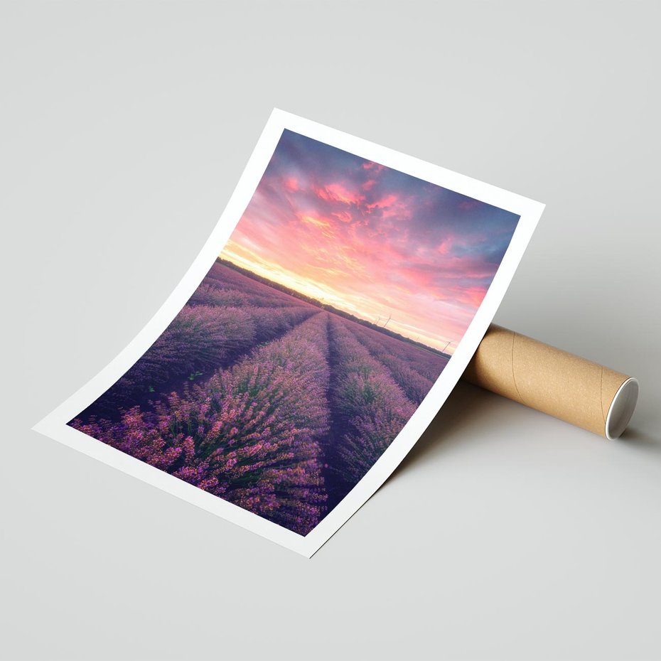 Plakat bez ramy 21x30 - Różowe Niebo nad Polami - pola lawendy, zachód słońca