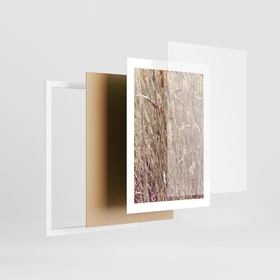 Plakat w ramie 30x40 - Suche Trawy w Wyjątkowym Stylu - suche trawy, boho styl - rama biała