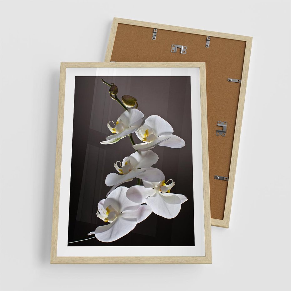 Plakat w ramie 50x70 - SPA: harmonia z kwiatami - spa, kwiaty - rama drewno