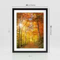 Plakat w ramie 40x50 - Złote barwy jesiennego lasu - las, jesień - rama czarna