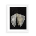 Plakat w ramie 40x50 - Obce Powidoki - abstrakcyjna ćma, mroczna atmosfera - rama biała