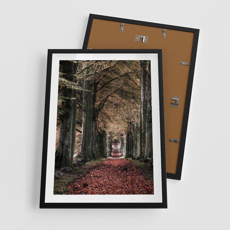 Plakat w ramie 50x70 - Spacer po Leśnej Drodze - ścieżka w lesie, jesień suche liście - rama czarna