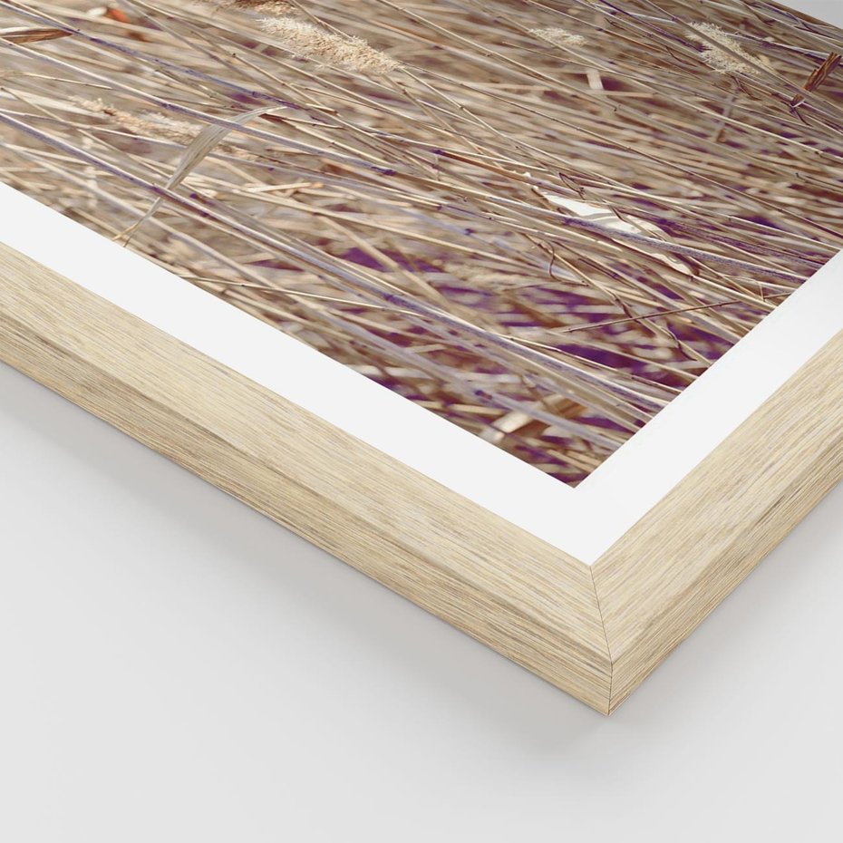 Plakat w ramie 50x70 - Suche Trawy w Wyjątkowym Stylu - suche trawy, boho styl - rama drewno