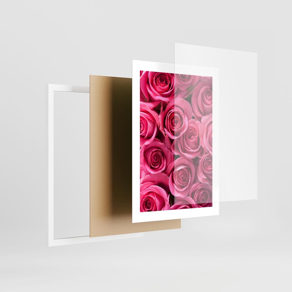 Plakat w ramie 30x40 - Romantyczne róże w pełnym rozkwicie - róże, kwiaty - rama biała