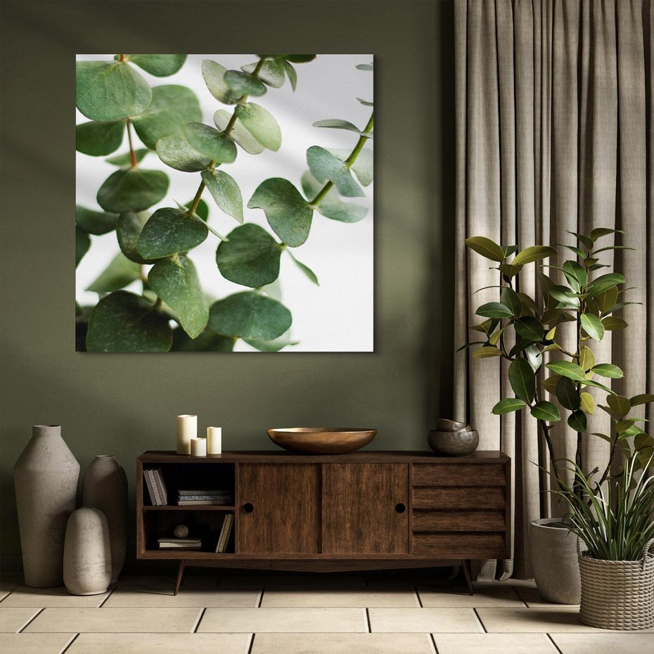 Obraz na płótnie 40x40 - Zielone eukaliptusy - eukaliptus, liście