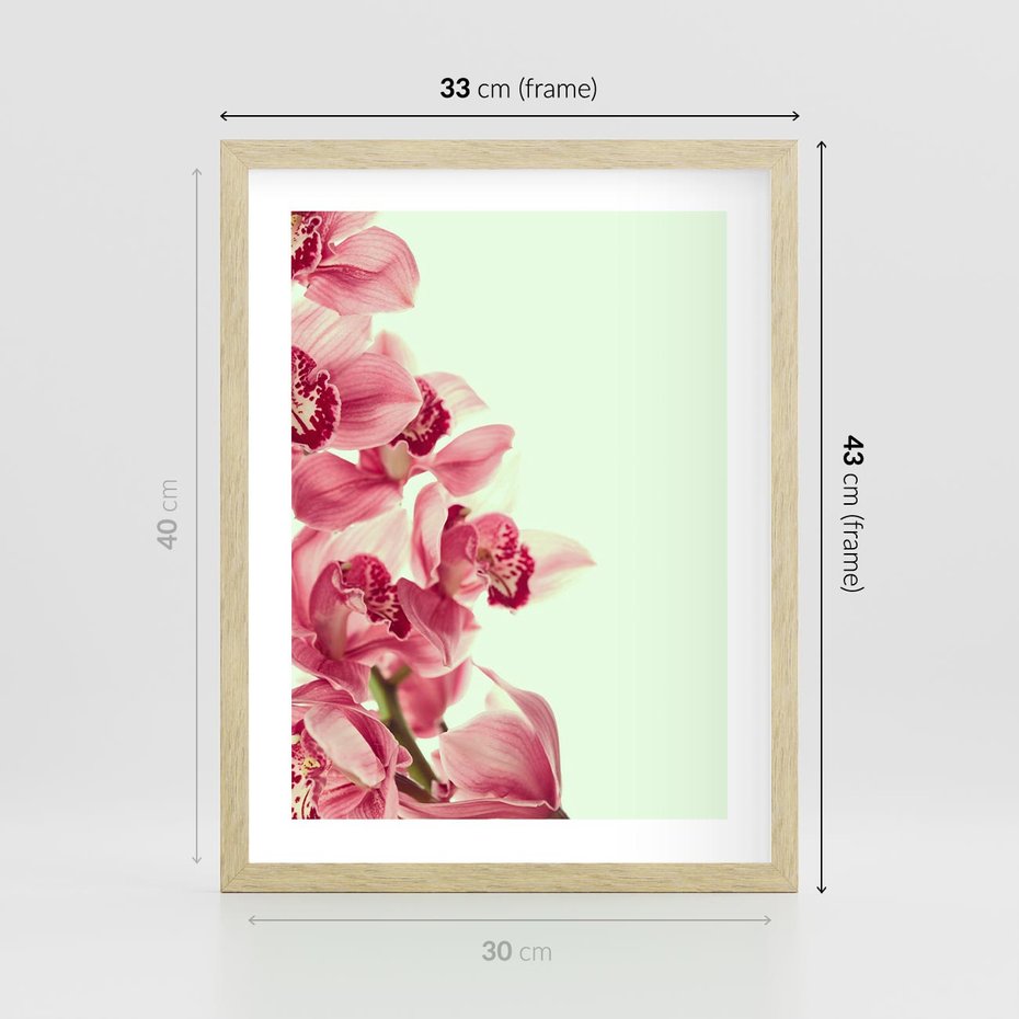 Plakat w ramie 30x40 - Orchidea - delikatne kwiaty - orchidea, kwiaty - rama drewno