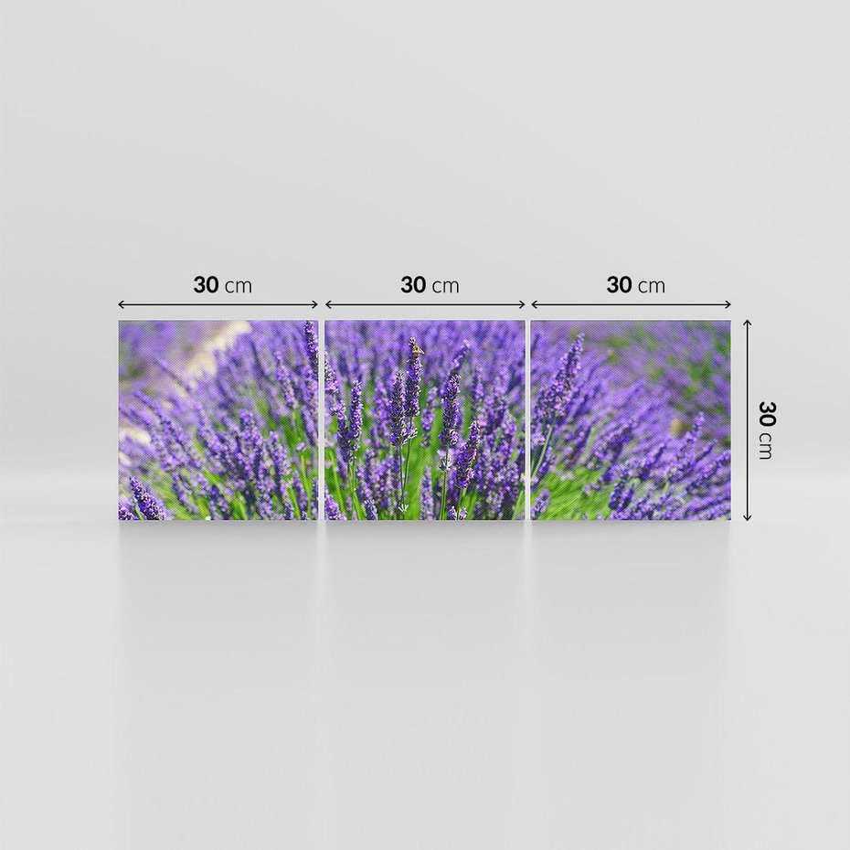 Obraz na płótnie 90x30 - Lawendowe pola piękno natury - lawenda, kwiaty