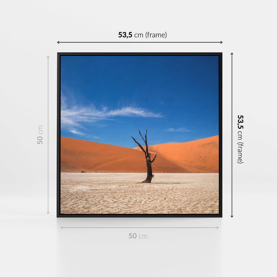 Obraz w ramie 50x50 - Słońce i Suche Drzewo - pustynia, suche - rama czarna
