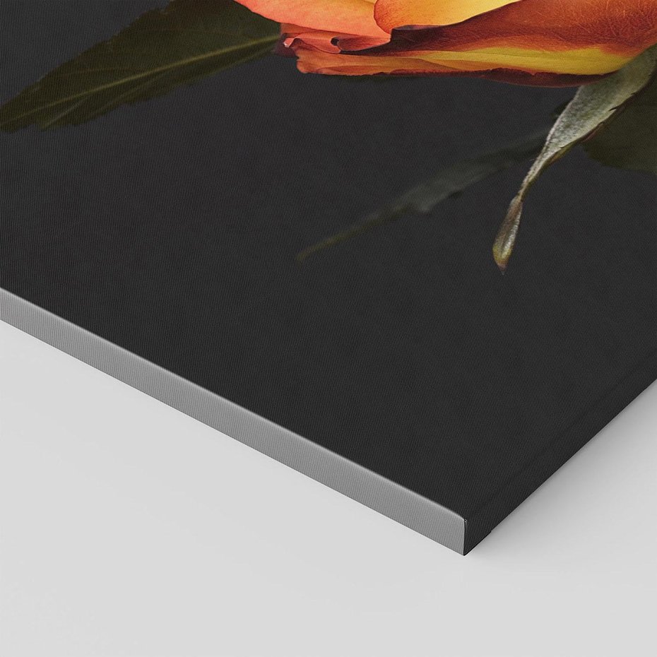 Obraz na płótnie 70x50 - Romantyczne Piękno Róż na Tle Natury - róże, kwiaty