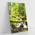 Obraz na płótnie 80x120 - Magiczny Strumień w Lesie - strumień, las