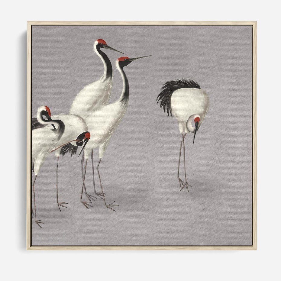 Obraz w ramie 80x80 - Spojrzenie wstecz w pędzlu - szkic rysunek, japońskie żurawie - rama drewno