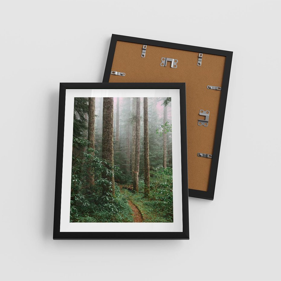 Plakat w ramie 40x50 - Mgliste Marzenia - artystyczna fotografia, las - rama czarna