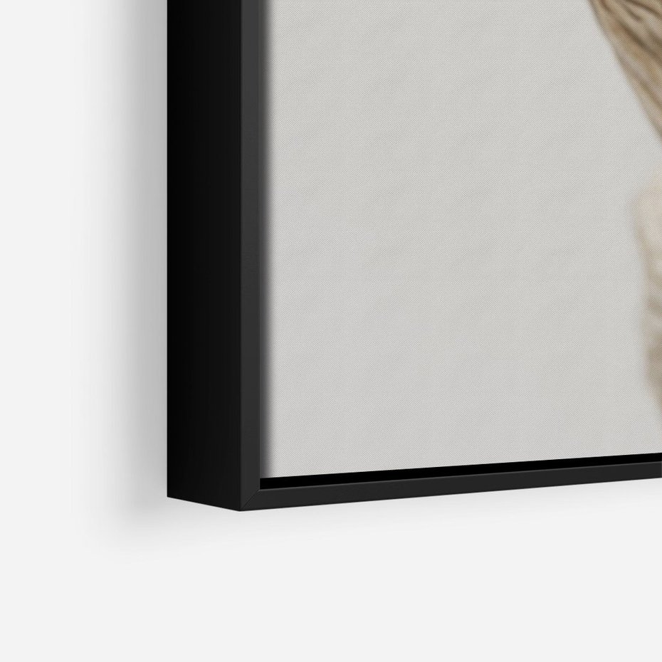 Obraz w ramie 50x70 - Suszone piękno - susz, suche - rama czarna