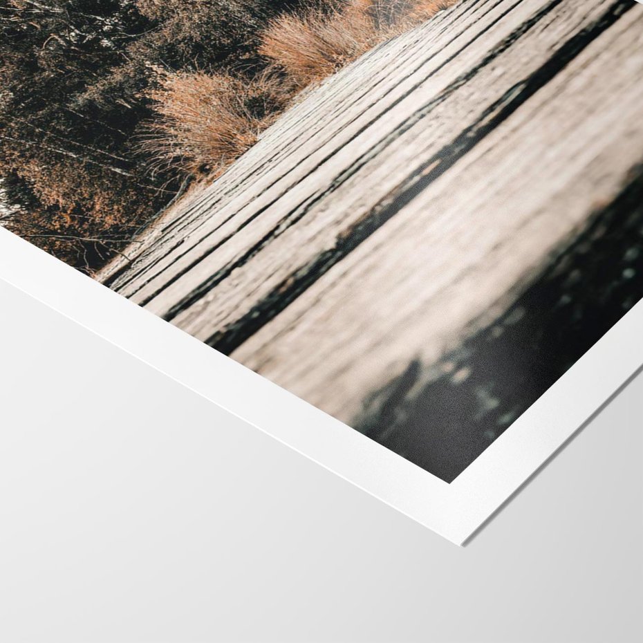 Plakat bez ramy 30x40 - Fotografia w Ciepłych Barwach - odcienie brązu, fotografia