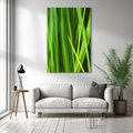 Obraz na płótnie 70x100 - Trawa w abstrakcji: natura przekształcona - trawa, abstrakcja