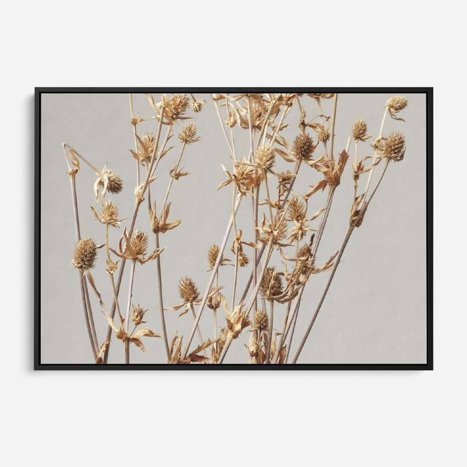 Obraz w ramie 70x50 - Delikatne gipsówki - gipsówka, suche - rama czarna