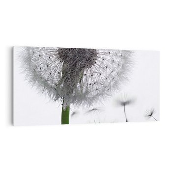 Obraz na płótnie 120x60 - Lekkość Przemijania - dmuchawiec, makro