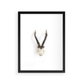 Plakat w ramie 30x40 - Minimalistyczne Poroże Jelenia - poroże jelenia na ścianie, minimalizm - rama czarna